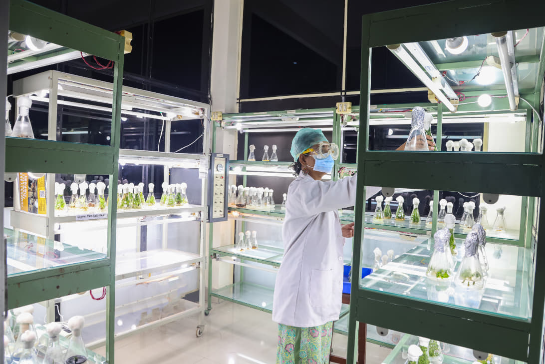 GEU Biotech photo 19